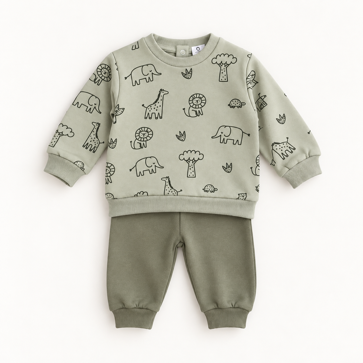Conjunto de Calças e Camisola Animais Verde